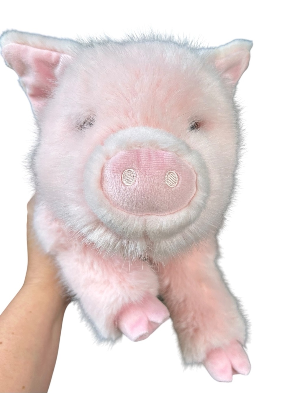 Douglas Cuddle Toy Soft Pink Plush Pig Charlize Stuffed Animal